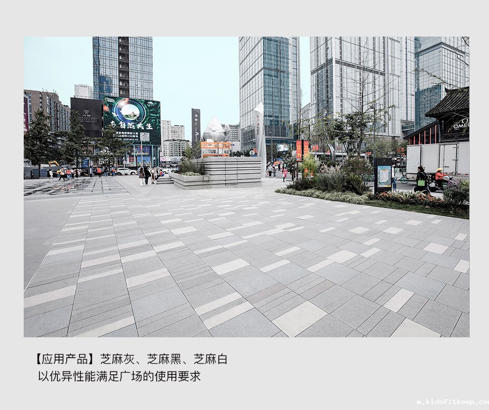 1679384615104401.jpg 12 (4).jpg