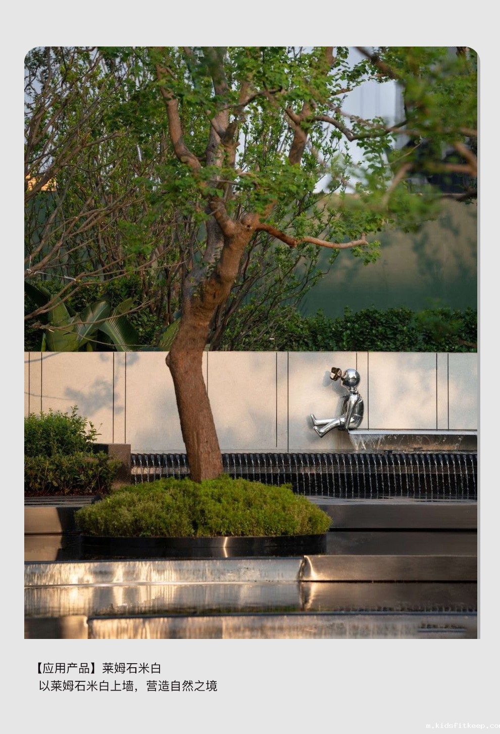 1679384619289643.jpg 12 (5).jpg